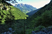 94 Sul sent. 231 vista sulla bassa-boscosa Val Vedra